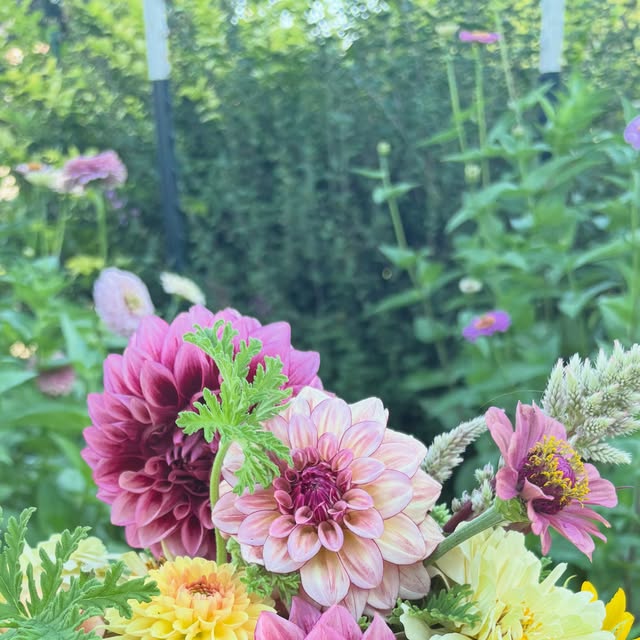 A garden-style arrangement of raspberry, blush, and yellow flowers
